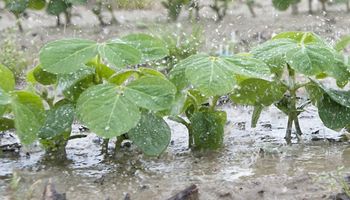 Las tormentas vuelven a ser protagonistas del clima en Argentina