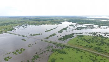 Ranking de precipitaciones durante enero: hasta 468,4 milímetros en Paso de los Libres