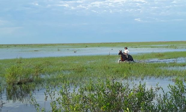 3 preguntas sobre la emergencia agropecuaria.