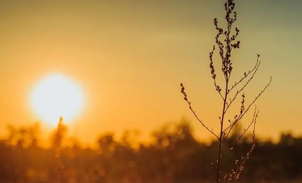 Calor extremo: cinco provincias en alerta roja por temperaturas que podrían alcanzar los 40 grados