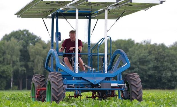 El productor que creó un "caballo" solar que trabaja hasta 8 horas al día