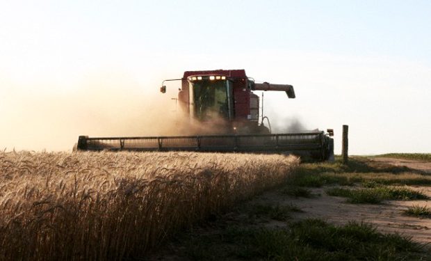 El desarrollo sectorial a través de la agricultura de precisión