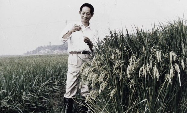 Murió Yuan Longping y China lo homenajeó por ser el padre del arroz híbrido 