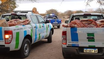 Córdoba: decomisaron 16 medias reses en un establecimiento clandestino de faena