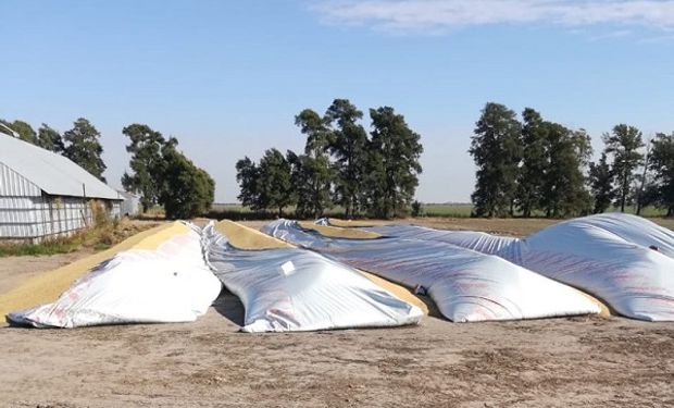 Delito rural: se suman nuevas roturas de silo bolsa y denuncian el robo de granos