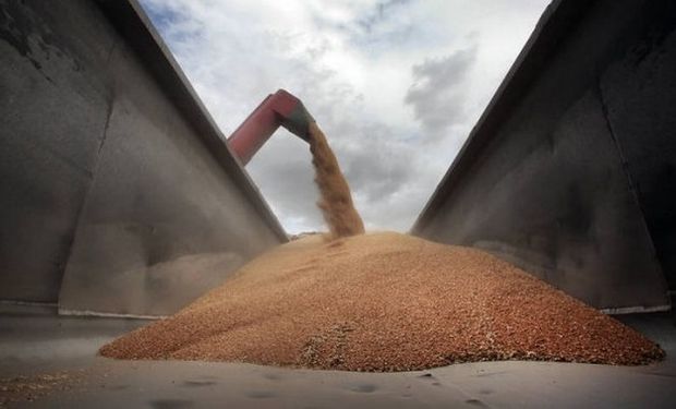 "La caída en la demanda de cultivos para biocombustibles, especialmente etanol de maíz, si impactará a la baja en los mercados de commodities agrícolas".