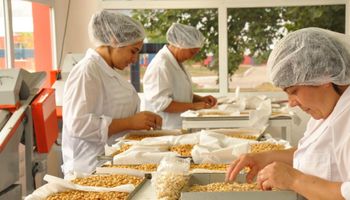 Las economías regionales van a las urnas