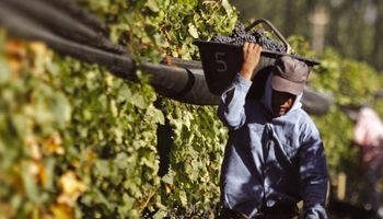 Cayeron 2 por ciento las exportaciones de las economías regionales en 2017