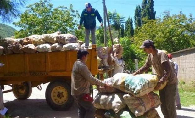 La producción de membrillo ocupa un lugar importante en Catamarca.