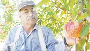 Avance para las economías regionales