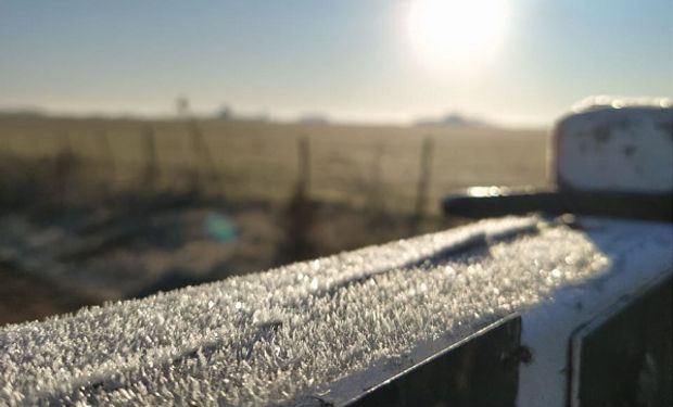Intensas heladas en la región pampeana, con promedios de 5 °C bajo cero
