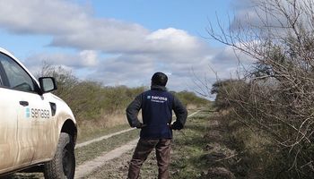Las langostas se volvieron a trasladar y el equipo de Senasa busca controlar la manga