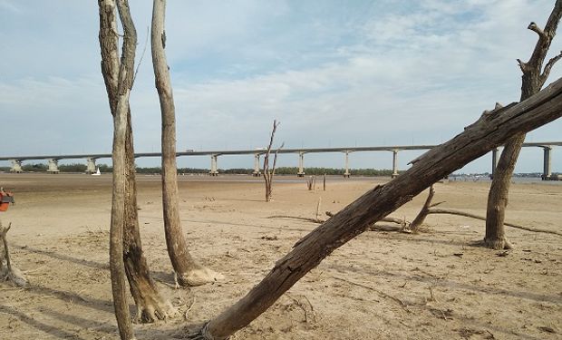 La programación de embarques estará sujeta a la altura del río, que en Rosario mide 80 cm menos de la media.