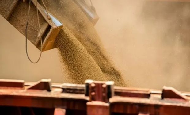Desplome de la soja en Chicago: qué pasó con el precio de los granos en Rosario