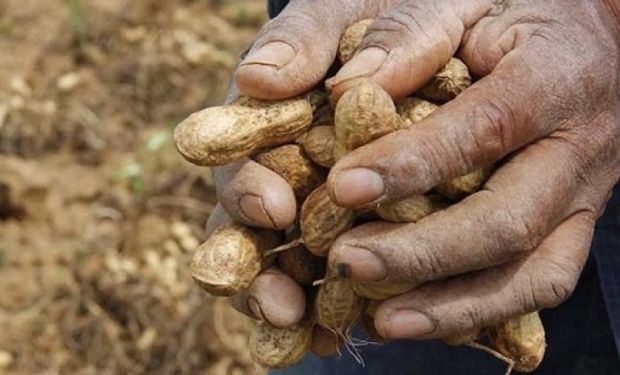 Las economías regionales aportaron exportaciones por más de US$ 8.000 millones