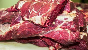 Carne bovina: 4 novas plantas frigoríficas são habilitadas pela China