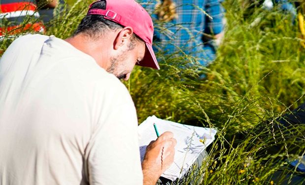 Hasta US$ 100 por hectárea: la empresa argentina que paga incentivos a productores para regenerar suelos y capturar carbono