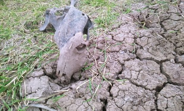 Las impresionantes imágenes de la sequía extrema que sufre Chaco