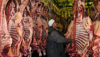 El ganado modera la caída en los precios