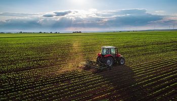 Las exportaciones agroindustriales cayeron 33,4% en septiembre: cómo le fue a cada sector