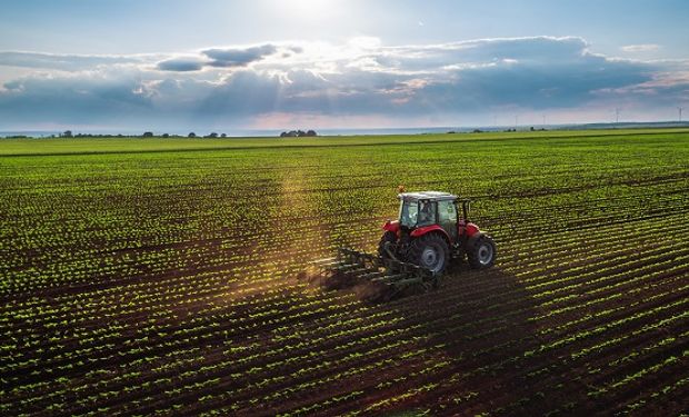 Las exportaciones agroindustriales cayeron 33,4% en septiembre: cómo le fue a cada sector