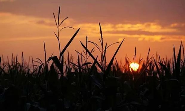 Ola de calor: siete provincias en alerta roja y naranja por temperaturas extremas