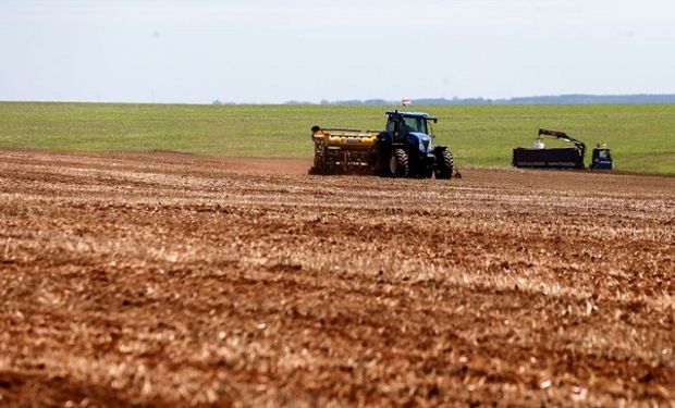 Ofrecen hasta $75 millones a una tasa del 49% para pymes del agro: quiénes pueden acceder y cuáles son las condiciones