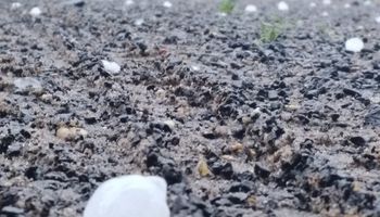 Cayó granizo en Entre Ríos y continúa el alerta