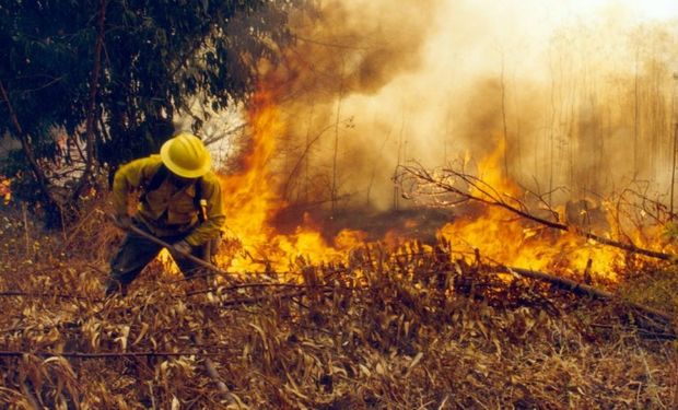 Estados Unidos aprobó un herbicida que ayudaría en la prevención de incendios forestales