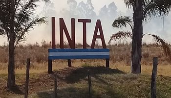 Un incendio en Corrientes destruyó 20 años de investigación del INTA