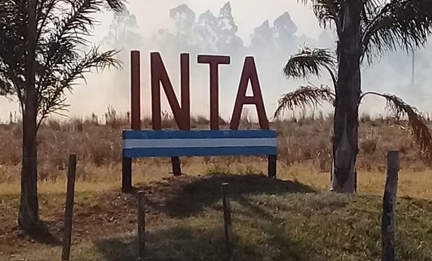 Un incendio en Corrientes destruyó 20 años de investigación del INTA