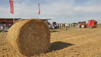CLAAS Argentina pone a disposición toda su experiencia en cosecha y forrajes