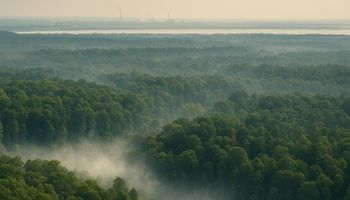 Efeito estufa: novas metas de emissão reduzem em 17% impacto no clima