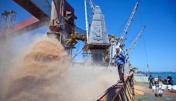 El listado de 7 plantas que habilitó China para exportar harina de soja