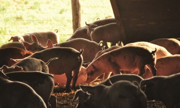 El actual sistema productivo presentaría síntomas de agotamiento, según los especialistas.