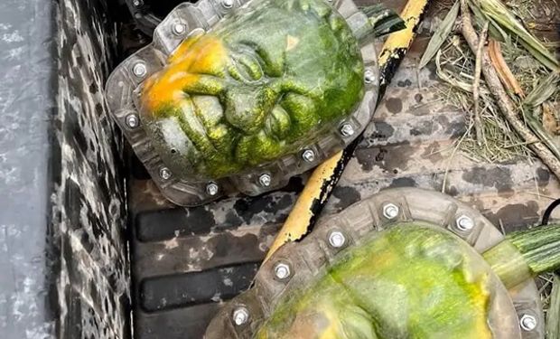 Decidieron dejar el tambo y la produccón de forrajes para dedicarse al cultivo de calabazas con forma de Frankenstein