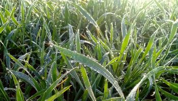 La entrada de aire frío dejó importantes heladas en el sur bonaerense: qué dice el pronóstico