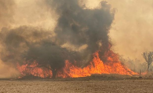 El Incendio En Cordoba Marcara Un Precedente Se Quemaron Mas De 16 000 Hectareas En 5 Dias Y Buscan Salvar Animales Agrofy News