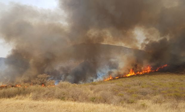 Por los incendios y la sequía, el Gobierno declaró la emergencia agropecuaria en Córdoba y Formosa 