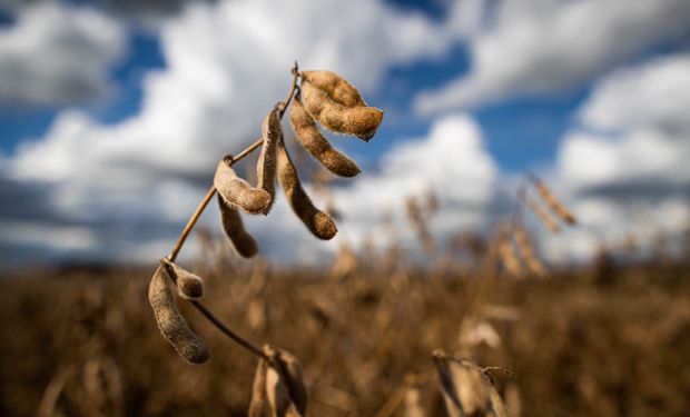 El Niño pode pressionar preços da soja e elevar risco climático no Brasil