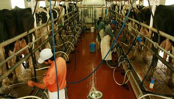 Misiones lanzó un financiamiento para que las cooperativas lecheras garanticen la provisión forraje