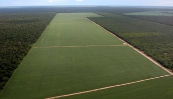 Brasil avanza en su “reforma agraria” con la expropiación y distribución de tierras