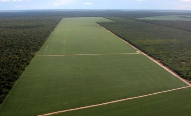 Brasil avanza en su “reforma agraria” con la expropiación y distribución de tierras