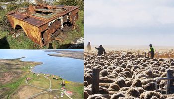 Cómo es el campo en Malvinas y cuánto cuesta recorrerlas: "Hay muchas más estancias de las que uno se imagina"