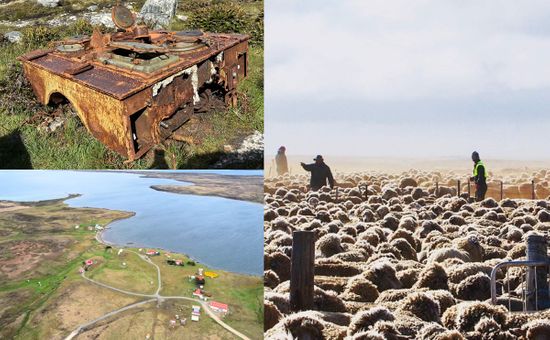 Cómo es el campo en Malvinas y cuánto cuesta recorrerlas: «Hay muchas más estancias de las que uno se imagina»