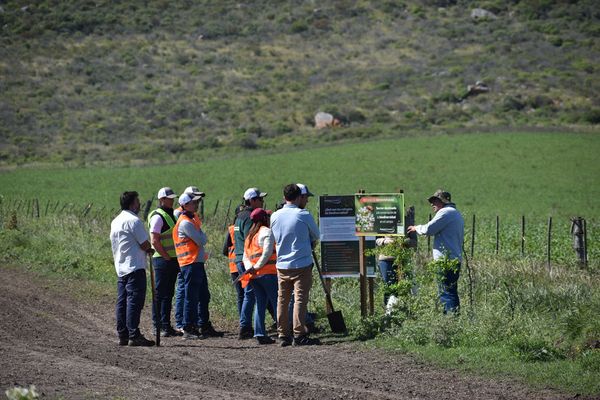 El equipo de Potato Growers capacitándose en el marco del Desafío