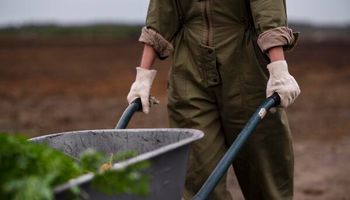 Reforma laboral, con impacto en el campo: los 9 puntos que transforman al trabajo rural