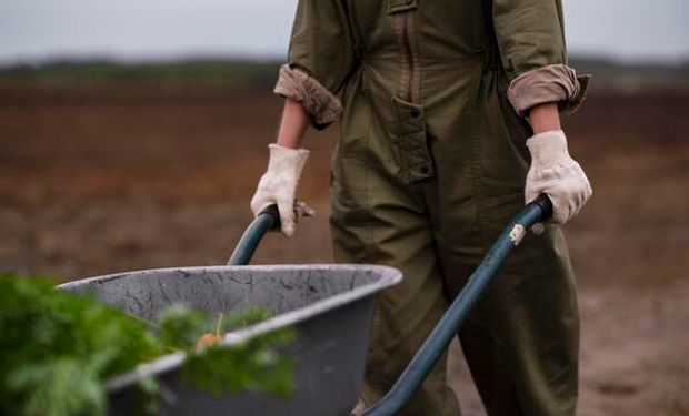 Reforma laboral, con impacto en el campo: los 9 puntos que transforman al trabajo rural