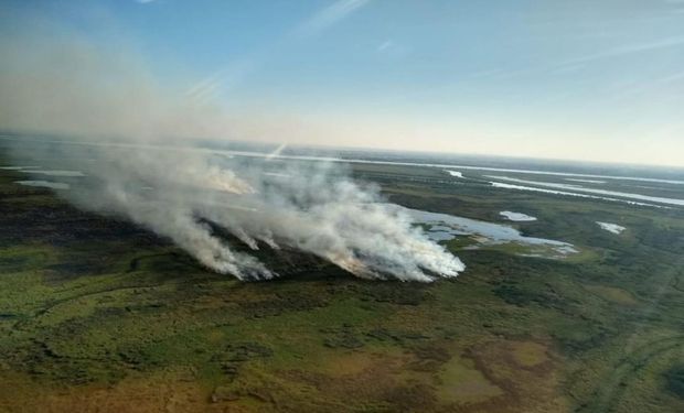 El Gobierno creó la red de Faros de Conservación para evitar y combatir los incendios en el Delta del Paraná