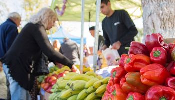 Buscan potenciar las economías regionales con ferias itinerantes en los barrios